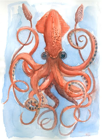 the vampire squid .....